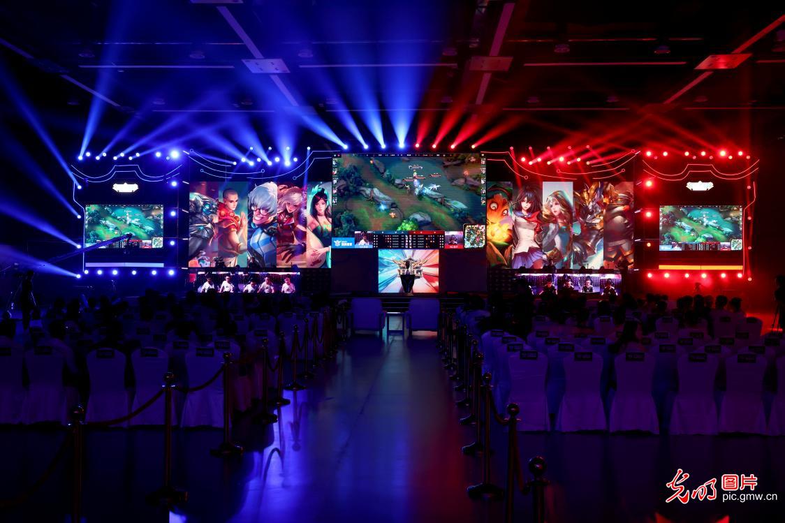 州队的表现 州队的表现