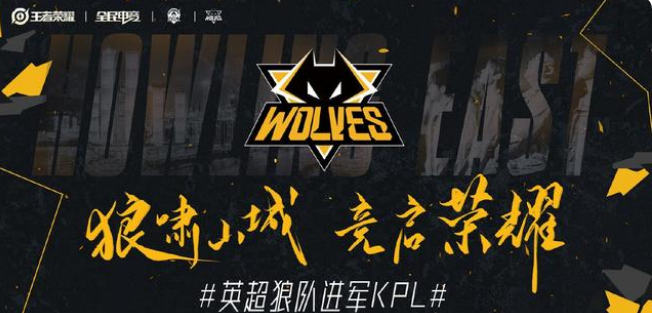 五年合同
